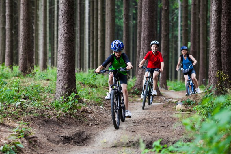 Kolme pyöräilijää pyöräilemässä metsässä polulla.